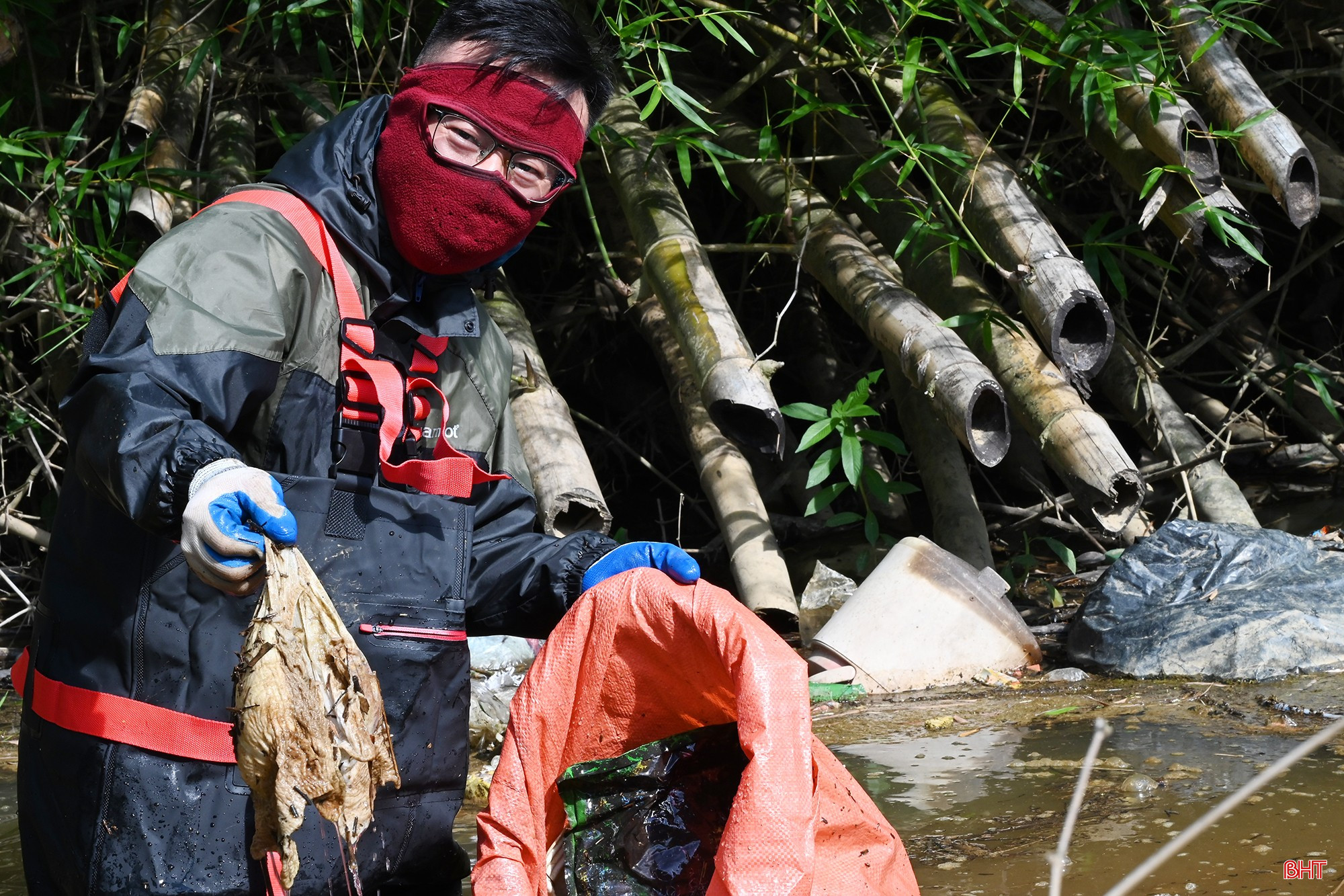 bqbht_br_13.jpg