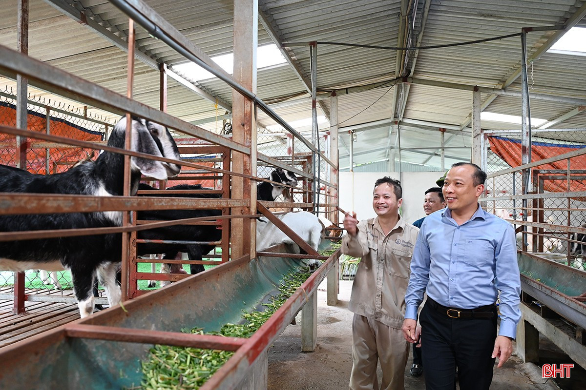 Tranh thủ thời tiết thuận lợi để đẩy nhanh tiến độ xóa nhà tạm ở Hương Khê ảnh 6