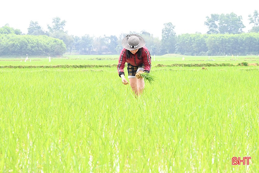 bqbht_br_2.jpg