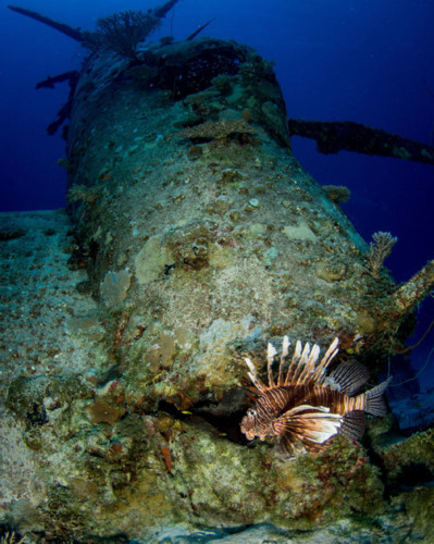 ngo ngang voi loat anh khu mo may bay quan su duoi day thai binh duong