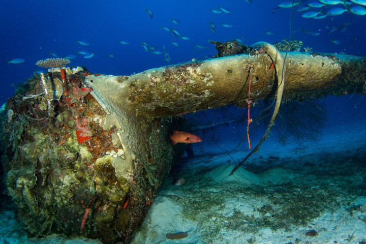 ngo ngang voi loat anh khu mo may bay quan su duoi day thai binh duong