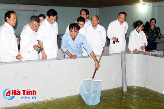 Bộ trưởng Nguyễn Xuân Cường: Tiềm năng nuôi tôm trên cát ở Hà Tĩnh rất lớn ảnh 5 bo truong nguyen xuan cuong tiem nang nuoi tom tren cat o ha tinh rat lon