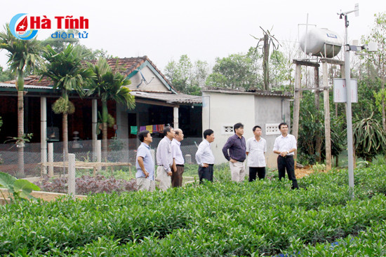 Sức lan tỏa của vườn mẫu Hà Tĩnh ảnh 1 suc lan toa cua vuon mau ha tinh