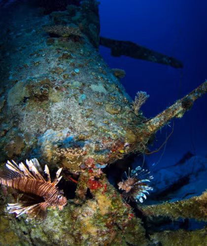 ngo ngang voi loat anh khu mo may bay quan su duoi day thai binh duong