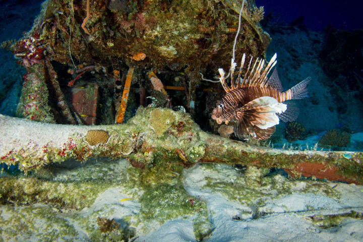 ngo ngang voi loat anh khu mo may bay quan su duoi day thai binh duong