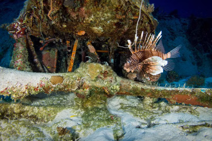 ngo ngang voi loat anh khu mo may bay quan su duoi day thai binh duong