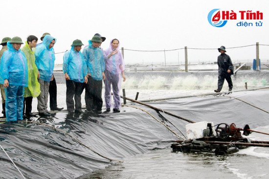 Bộ trưởng Nguyễn Xuân Cường: Tiềm năng nuôi tôm trên cát ở Hà Tĩnh rất lớn ảnh 1 bo truong nguyen xuan cuong tiem nang nuoi tom tren cat o ha tinh rat lon