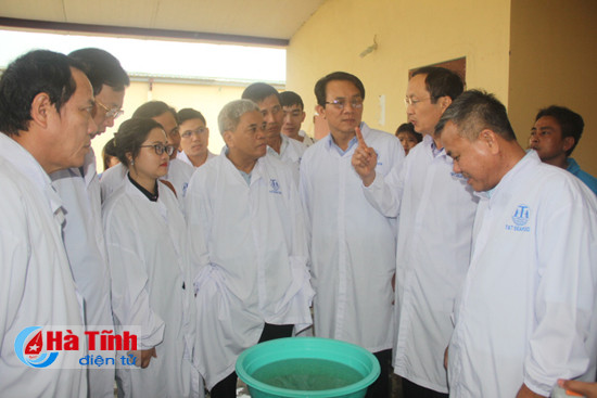 Bộ trưởng Nguyễn Xuân Cường: Tiềm năng nuôi tôm trên cát ở Hà Tĩnh rất lớn ảnh 6 bo truong nguyen xuan cuong tiem nang nuoi tom tren cat o ha tinh rat lon