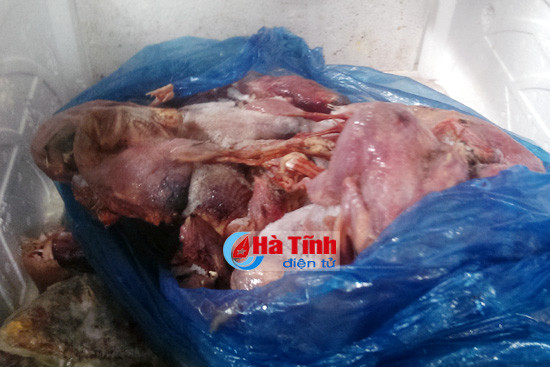 phat hien co so kinh doanh cat tru hon 2 ta thit chim da boc mui