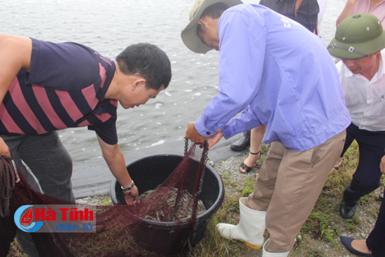 Bộ trưởng Nguyễn Xuân Cường: Tiềm năng nuôi tôm trên cát ở Hà Tĩnh rất lớn ảnh 7 bo truong nguyen xuan cuong tiem nang nuoi tom tren cat o ha tinh rat lon