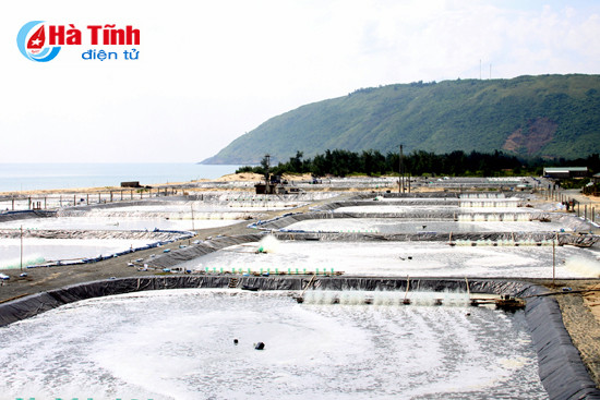 Bộ trưởng Nguyễn Xuân Cường: Tiềm năng nuôi tôm trên cát ở Hà Tĩnh rất lớn ảnh 3 bo truong nguyen xuan cuong tiem nang nuoi tom tren cat o ha tinh rat lon