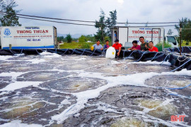 Nhiều mô hình nuôi tôm công nghệ cao tại Hà Tĩnh có sự hậu thuẫn của ngành Ngân hàng.