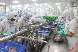Thi đua “thắp lửa” sản xuất - kinh doanh