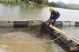 Người dân, doanh nghiệp đề nghị hỗ trợ tín dụng khôi phục sản xuất sau bão