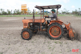 Nông dân Hà Tĩnh tăng tốc gieo trồng, phủ kín vụ đông