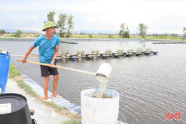 Ngân hàng tiếp vốn sau bão, điểm tựa để nông dân khôi phục sinh kế