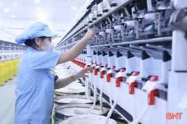 Những sản phẩm xuất khẩu nào của Hà Tĩnh chiếm ưu thế trong nửa đầu năm?