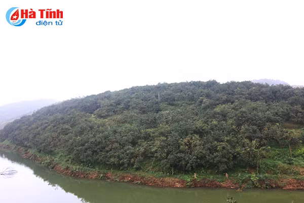 video vua cam bu ha tinh lan dau tiet lo ve trang trai khung