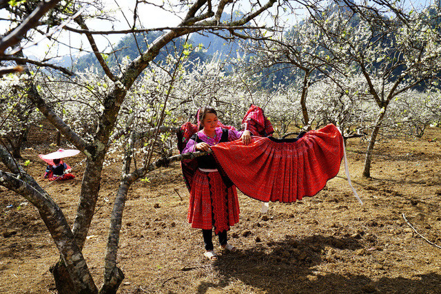 den moc chau ngam man no trang troi