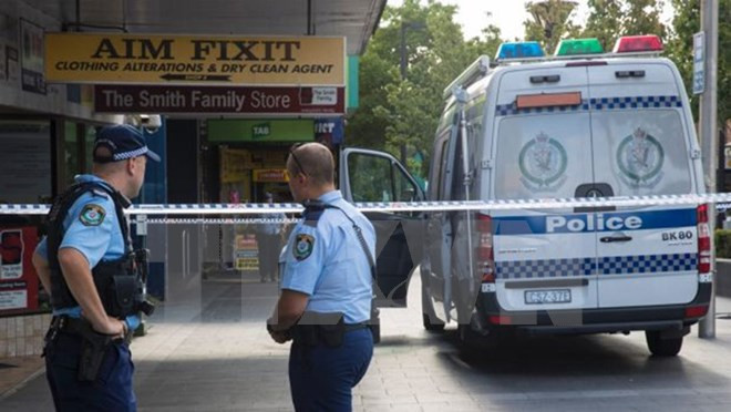 no sung tai quan caphe o australia 1 luat su goc viet thiet mang