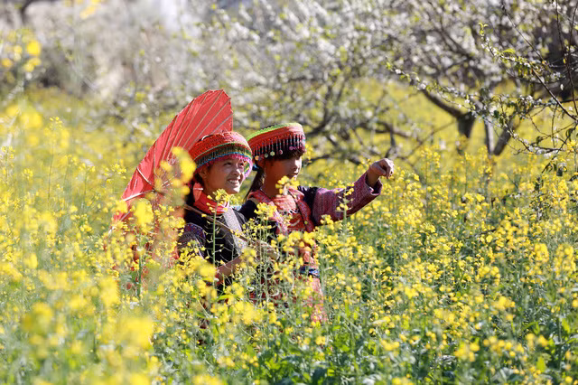 den moc chau ngam man no trang troi