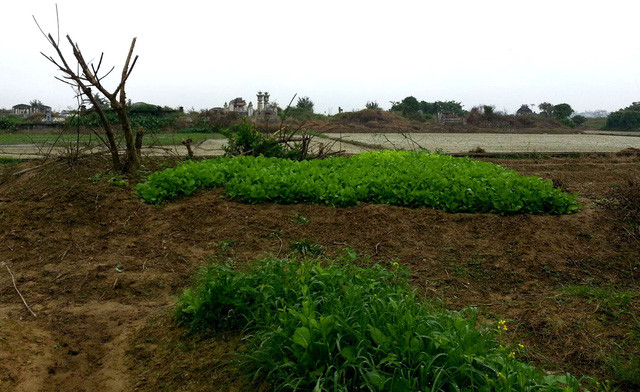 dai thi hao nguyen du duoc an tang lan dau tai dau