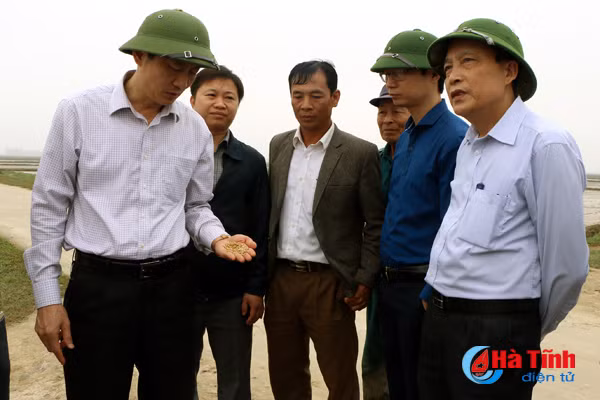 tang cuong quan ly hoat dong giet mo gia suc gia cam dip tet