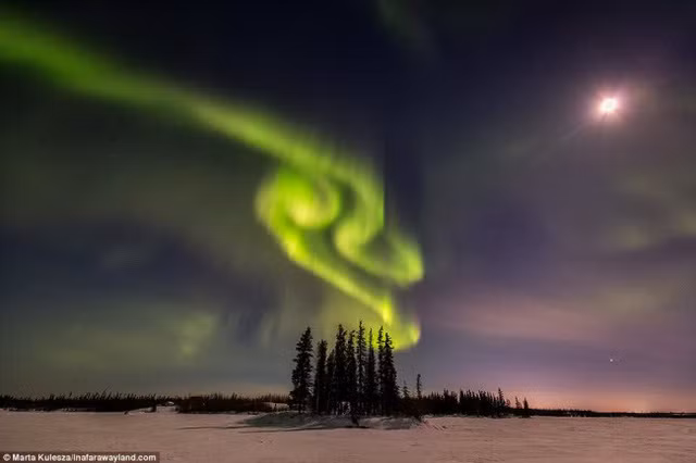 dung tim voi canh dep me hon khap the gioi