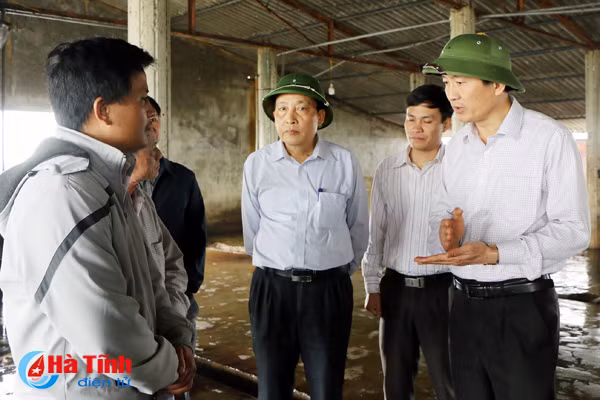 tang cuong quan ly hoat dong giet mo gia suc gia cam dip tet