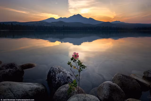 dung tim voi canh dep me hon khap the gioi