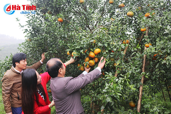 video vua cam bu ha tinh lan dau tiet lo ve trang trai khung
