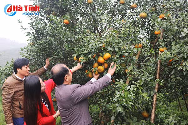 video vua cam bu ha tinh lan dau tiet lo ve trang trai khung