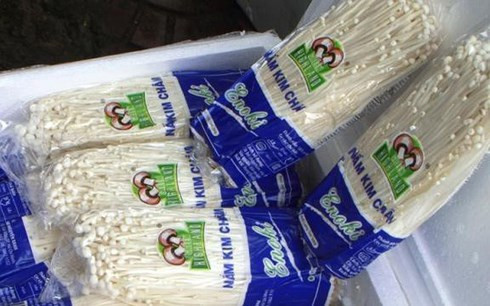 nam trung quoc tran lan mua bao nhieu cung co