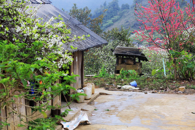 den moc chau ngam man no trang troi