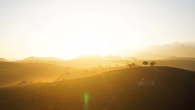 den moc chau ngam man no trang troi