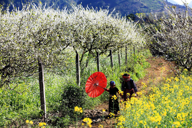 den moc chau ngam man no trang troi