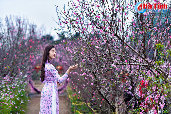 nu sinh ha tinh top 15 hoa hau dai duong duyen dang voi ao dai don tet
