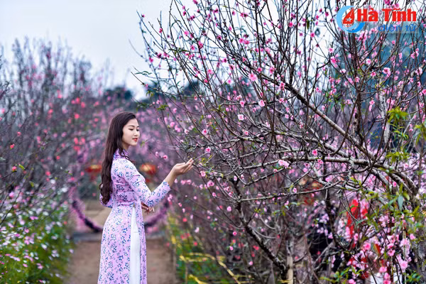 nu sinh ha tinh top 15 hoa hau dai duong duyen dang voi ao dai don tet