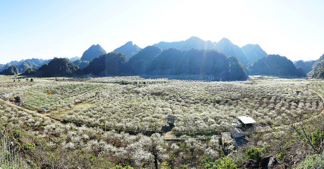 den moc chau ngam man no trang troi