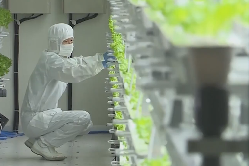 lao dong viet nam tai nhat ban tang ky luc