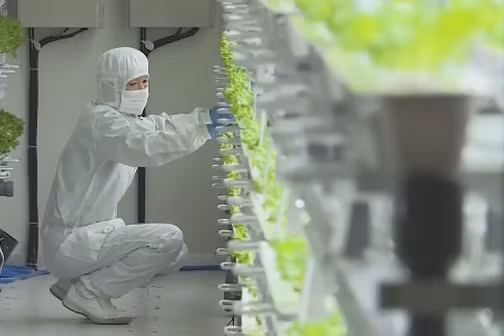 lao dong viet nam tai nhat ban tang ky luc