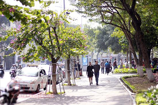 thoi tiet hom nay bac bo troi hung nang nam bo co mua dong