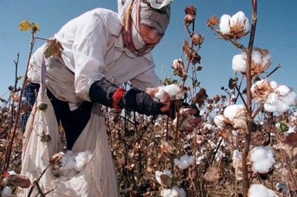 uzbekistan nen kinh te co doc muon tim lai hao quang