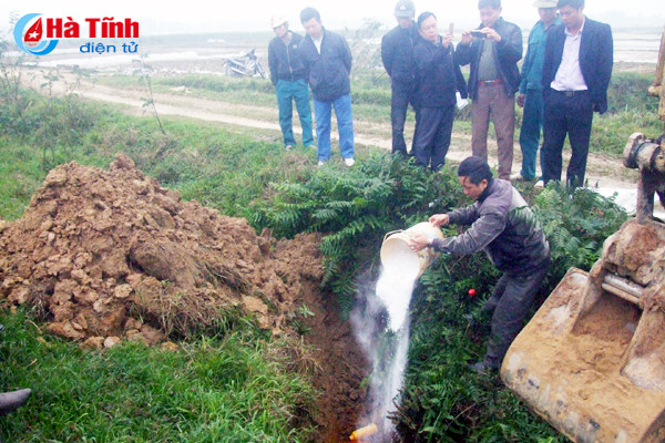 tieu huy gan 200 kg thit gia suc khong qua kiem dich