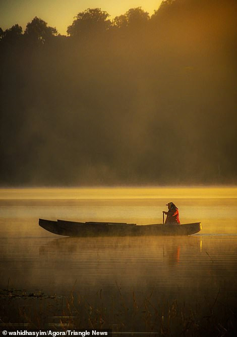 Loạt tác phẩm ấn tượng trong cuộc thi ảnh quốc tế Peace 2020 của Agora