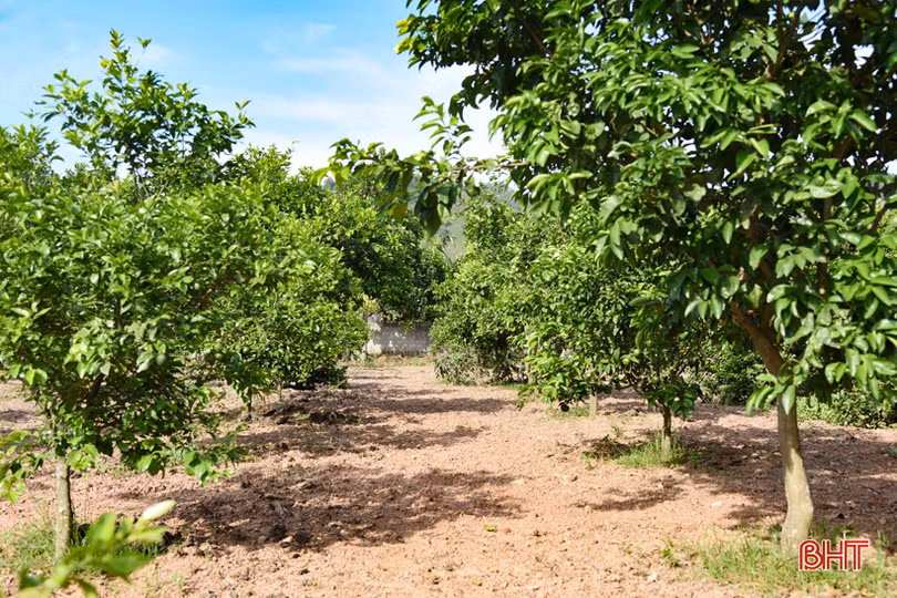 Thăm khu dân cư kiểu mẫu dưới chân dãy núi Thiên Nhẫn