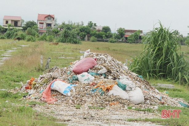 Vỏ ngao, hến ngổn ngang khắp bờ đê, khu dân cư ở Lộc Hà