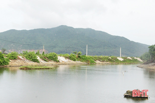 Vỏ ngao, hến ngổn ngang khắp bờ đê, khu dân cư ở Lộc Hà