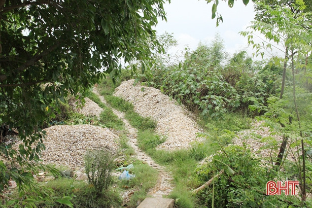 Vỏ ngao, hến ngổn ngang khắp bờ đê, khu dân cư ở Lộc Hà