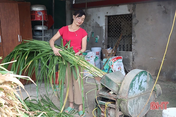 Quỹ Hỗ trợ nông dân – điểm tựa cho nhà nông xứ Cẩm